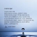 필연 Daum카페