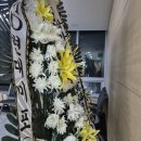 에이치디현대미포(주) - 8826 | 에이치디현대미포(주)