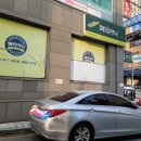 라인뷰티테라피