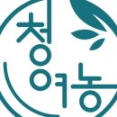 메인스토어 네이버블로그