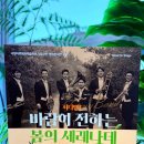 바람이되어 | 광주 서빛마루문화예술회관 4월 공연 바람이 전하는 봄의 세레나데 좌석 시야 후기