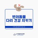 수성동물병원(일반동물병원) 이미지