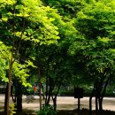 초연한의원 이미지