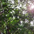 진표농장 이미지