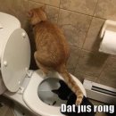 에이스항외과의원 이미지