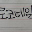 로코네일 - 속초시 조양로105번길 14 | 로코네일