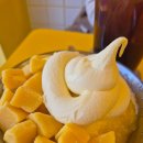 고망고 홍대입구역점 | 홍대입구역에서 목마름 끝… 고망고 한 잔에 텐션이 올라가요