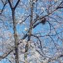 동학농민혁명 유적지 이미지