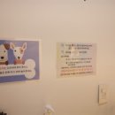 댕굴댕굴 이미지