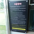 파라다이스 독 이미지