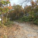 석성목장 이미지