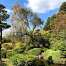 시코쿠(四國)섬의 다까마쓰(高松)를 가다(18).....일본의 3대 정원이라는 고라쿠엔(岡山後楽園) 이미지