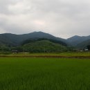 선골경로당 이미지