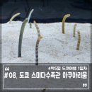 도쿄 스미다수족관 스카이트리 아쿠아리움 위치 입장료 카페 메뉴 굿즈
