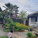 복인 민박 | 제주 한림 민박, 내돈내산! 깨끗하고 연박도 부담 없는 가격. 아기랑 가기 좋은 제주 마당 있는 시골집...