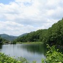 숲속다람쥐펜션 이미지