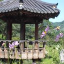 유유자적 이미지
