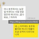 마인드온주 네이버블로그