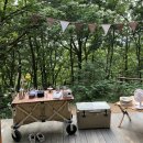 입화산참살이숲야영장 | 울산 캠핑장 입화산 참살이숲야영장 : 소나무야영장