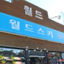 엘리시안강촌월드스키렌탈샵 이미지