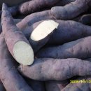 고은농장 이미지