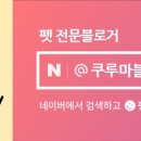 즐거운그루밍 이미지