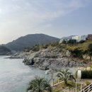 주식회사바다 | 거제 기념품 추천 거제 선물로 사면 좋은 주식회사몽돌빵 내돈내산 솔직 후기