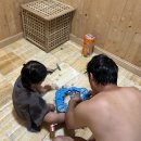 더푸른풀빌라 이미지