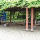 S0729 이미지