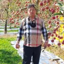 신신물산 이미지