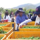 홍성수농장2 이미지