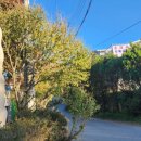 서봉산 산림욕장 1 이미지