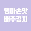 [제품후기]엄마손맛 배추김치