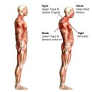 드래곤 파라다이스 짐 이미지