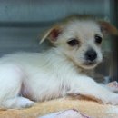 미성동-4 이미지