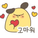 하이유뷰티