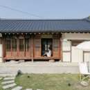 스테이자유
