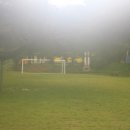 서후리 캠핑장 Daum카페