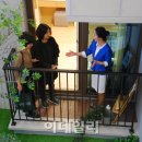 스텔 이미지