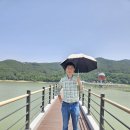 일탈