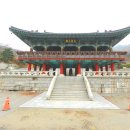 법인자연심