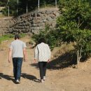 김형수농장 이미지