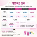 빛고을마트 | 퐁퐁플라워 광주빛고을센터 솔직후기