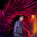 편상욱 카카오 검색결과