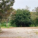 은빛초원캠핑장 이미지