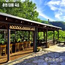 춘천숲펜션 | 춘천숲펜션 독채 | 13명 단체 여행 숙소 추천