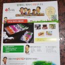 법인솔티 이미지