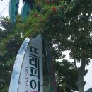 뜨레피아 네이버블로그