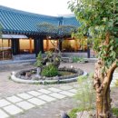 바보낙지 이미지