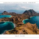인도네시아 초저가 리브어보드 SEAMORE PAPUA with Devilsdivers 세계 최고 수준의 시모어파푸아 리브어보드 이미지
